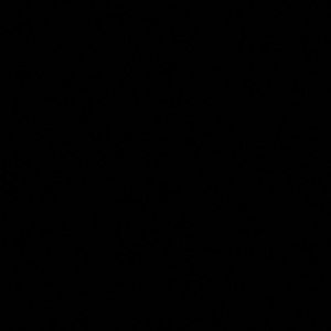 Meet your Posher, Ajani